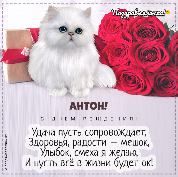 Антон, с Днём Рождения: гифки, открытки, поздравления